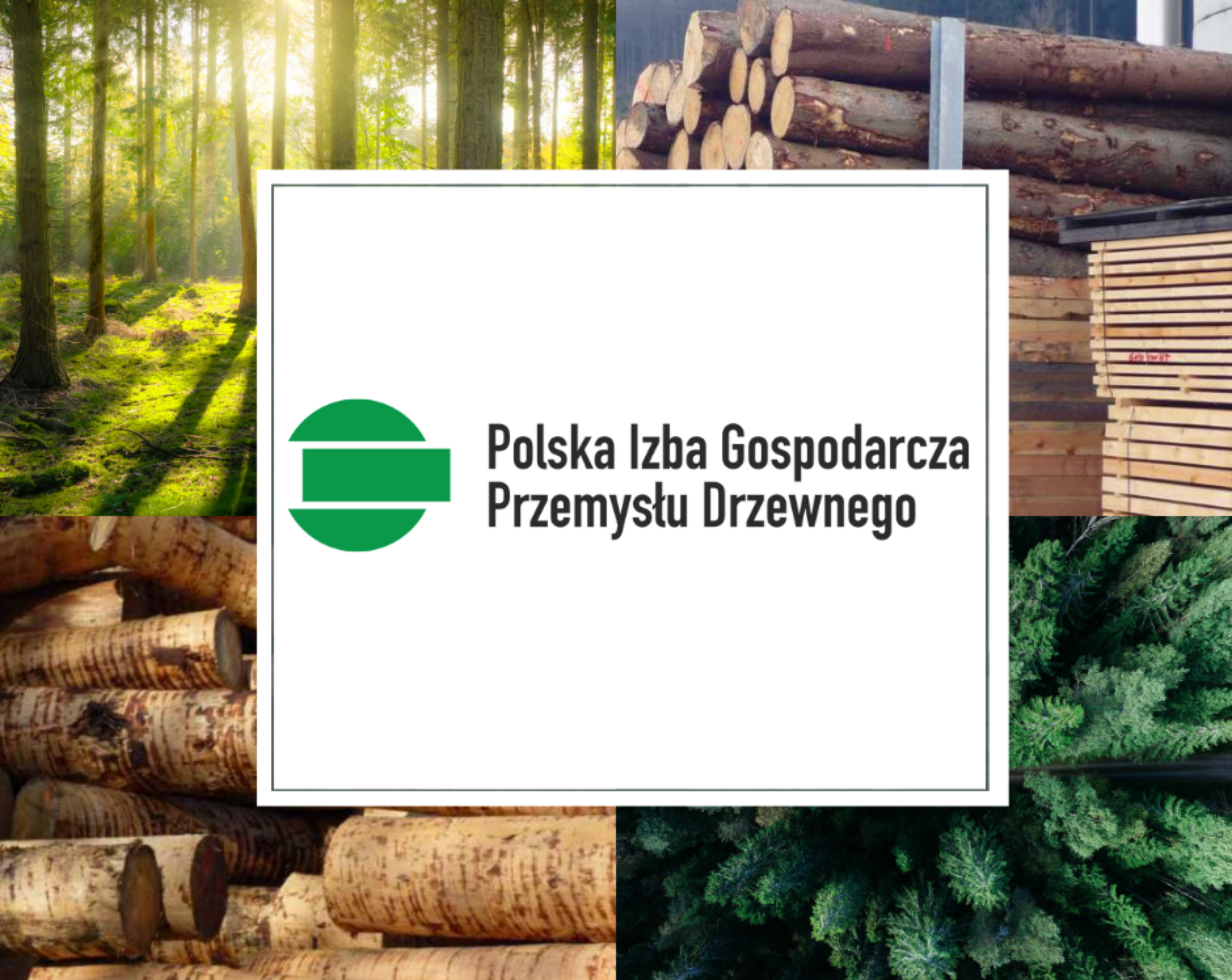 List Polskiej Izby Gospodarczej Przemysłu Drzewnego