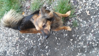 20171013_131045.jpg