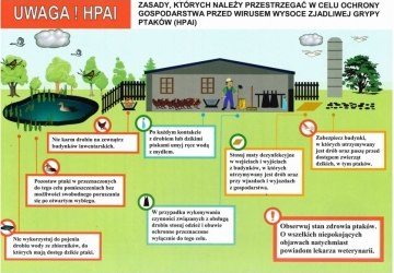 Apel do hodowców drobiu