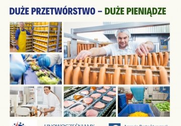 Duże pieniądze na duże przetwórstwo
