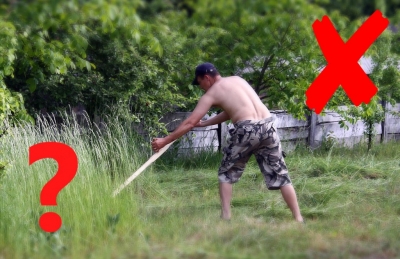 kleszcz4.jpg