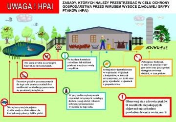 Informacja Powiatowego Lekarza Weterynarii dotycząca ptasiej grypy