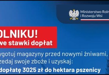 MRiRW - Informacja dot. nowych stawek dopłat do zbóż